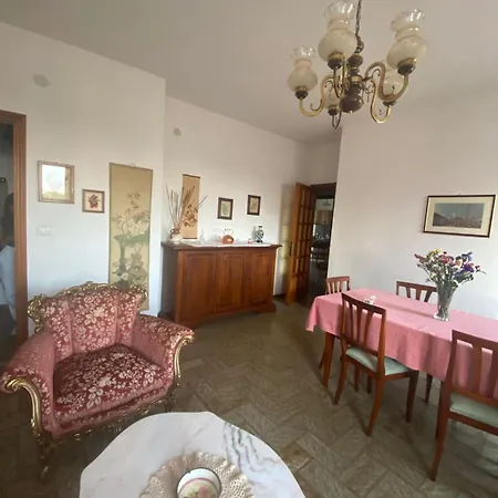 Anima Vintage Carbonia