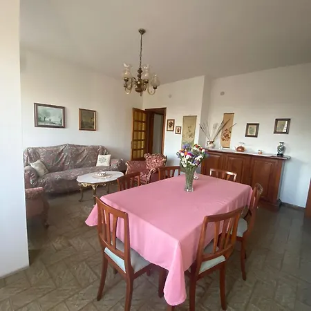 Anima Vintage Carbonia