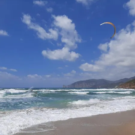 Anima Vintage * Carbonia