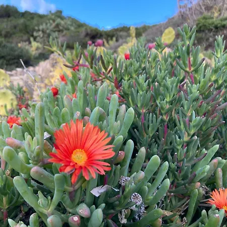 Appartement Anima Vintage Carbonia