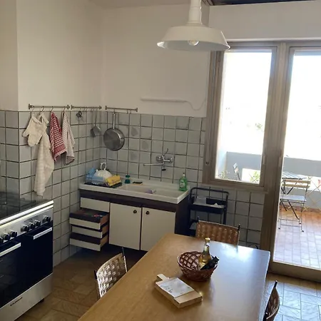 Anima Vintage Carbonia